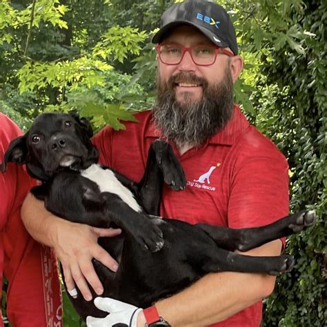 Board and Leadership | Volunteers | Dog Star Rescue