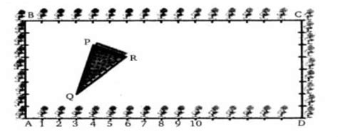 The class X students school in krishnagar have been allotted a ...