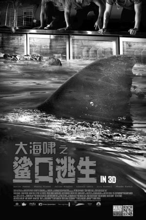 《大海啸之鲨口逃生》将于威尼斯影节首映 _影音娱乐_新浪网