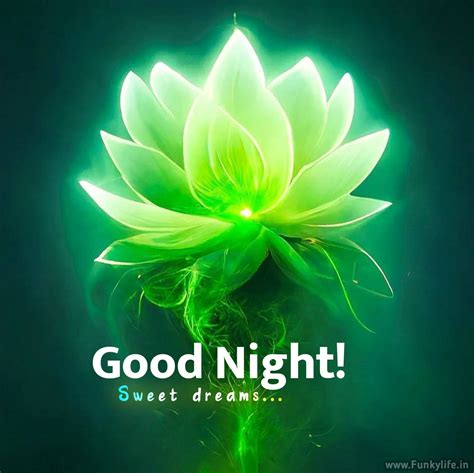 Say Goodnight with Style: Get Your Hands on These Gorgeous Good Night ...