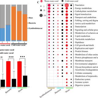 Image result for CWC DNA