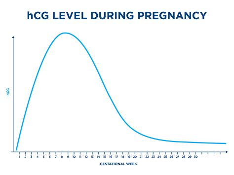 hCG levels: all you need to know - Clearblue