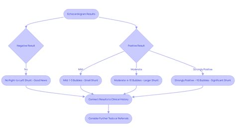 Understanding Echocardiograms with Bubble Study: A Complete Guide