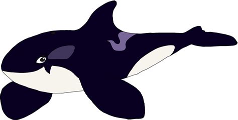 Orca Whale Clip Art