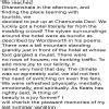 write a short paragraph on your summer vacation - Brainly.in