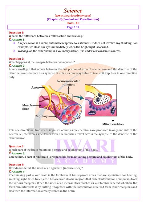 Class 10 Science Chapter 6 All Processes 的图像结果