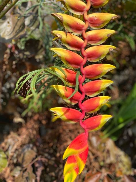 VILLA KEPUH (Depeha) - Guesthouse Reviews, Photos, Rate Comparison ...