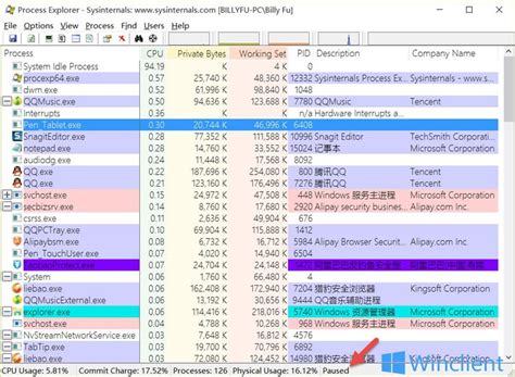 System Internal Process Explorer 的图像结果