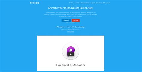 Adobe XD Projects 的图像结果