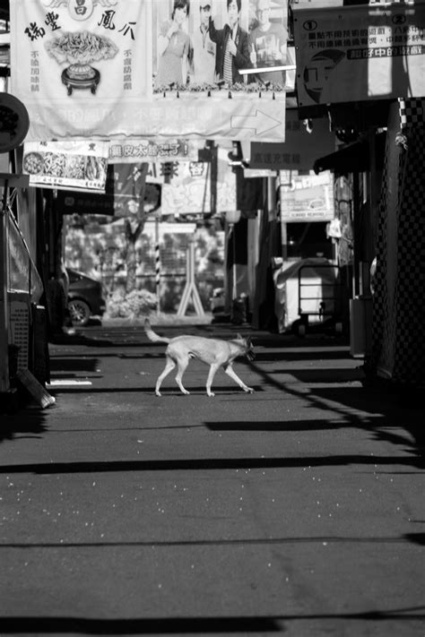Fujifilm XE2 紅外線異色台灣 - Mobile01