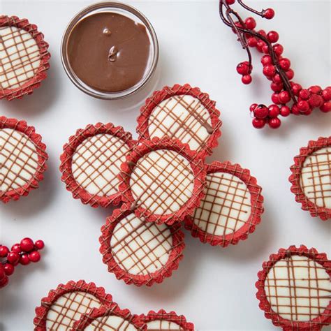 All Flavourful Tarts – Nova Nova