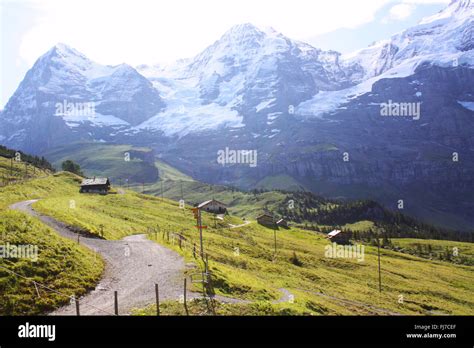 Switzerland 的图像结果