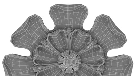 Image result for Setting Model