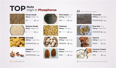 Top Nuts High in Phosphorus