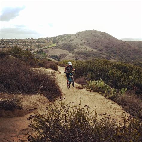 Aliso and Wood Canyons Wilderness Park Photos