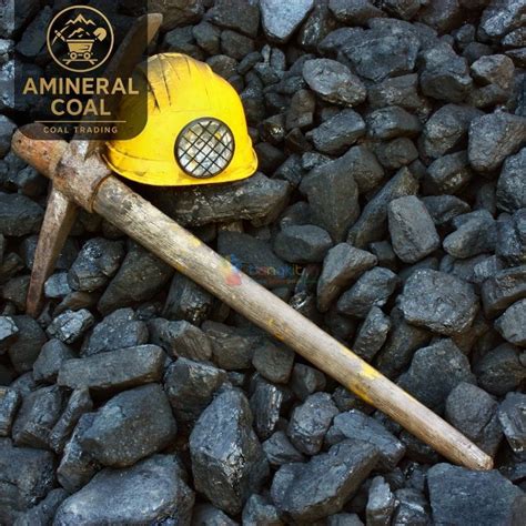 perusahaan tambang batubara di jakarta - Bangkitin