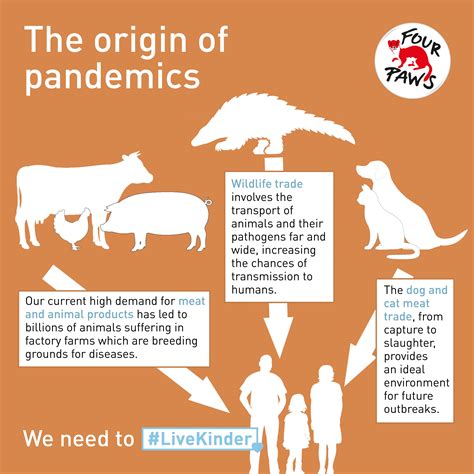 Origin of Pandemics - FOUR PAWS UK - Animal Charity - Animal Welfare Organisation
