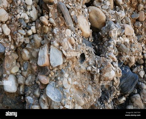 Close up detail of conglomerate sedimentary rocks that form the coastal ...