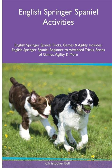 Buy English Springer Spaniel Activities English Springer Spaniel Tricks ...