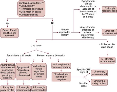 When to perform lumbar puncture in infants at risk for meningitis in ...