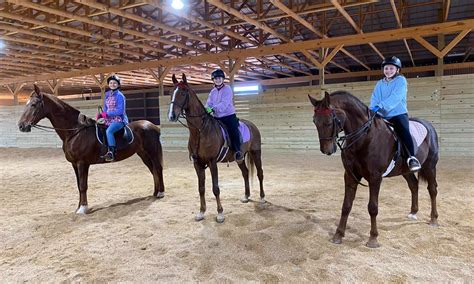 Four Oaks Farm & Stables in Cleveland | Groupon