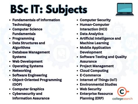 Top BSc IT Syllabus 2025: Semester-Wise Subjects
