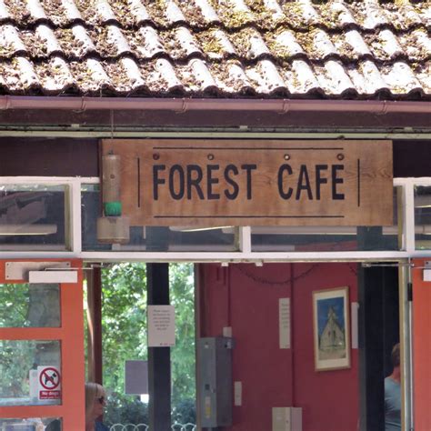 THE FOREST CAFE AND ICE CREAM PARLOUR, Swindon - Restaurant Reviews ...
