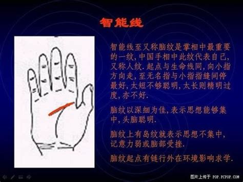 指纹算命图解法，不同的指纹代表什么性格运势-76星座网