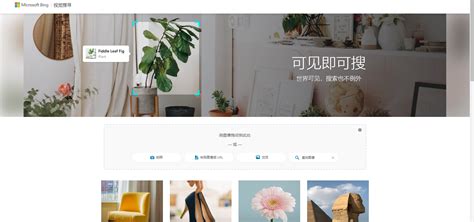 必应 AI 的图像结果