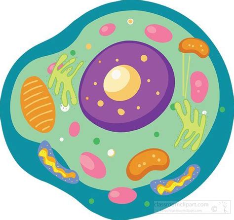 Free cell clipart, Download Free cell clipart png images, Free ClipArts ...