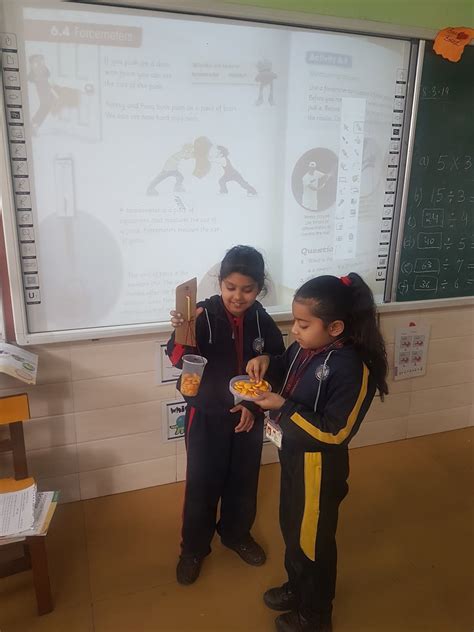 Image result for Using Force Meter