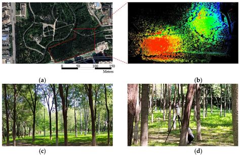 A Deep Learning-Based Method for Extracting Standing Wood Feature ...