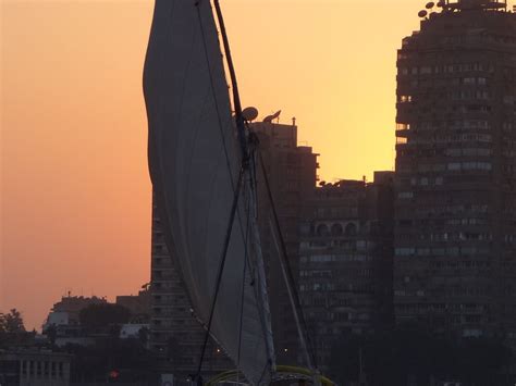 Ride a Felouka (Cairo) - All You Need to Know BEFORE You Go