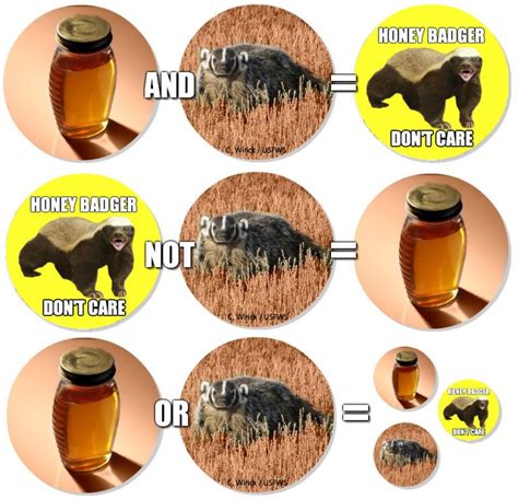 Image result for JavaScript Meme Boolean