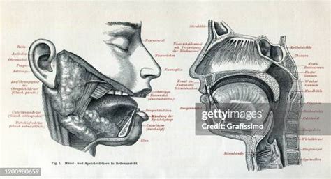 Image result for NLP Meta Model Extensional Thinking