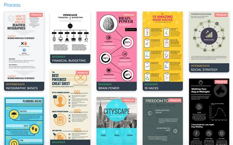 The Top 9 Infographic Template Types - Venngage