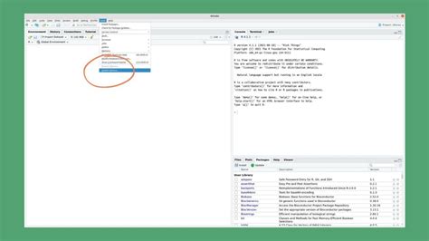 How to Do R Coding 的图像结果