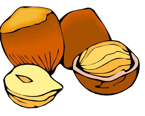 Nut Clip Art - Cliparts.co