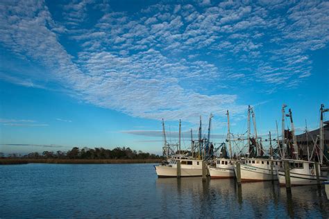 Apalachicola Campgrounds Florida: Best Places to Stay