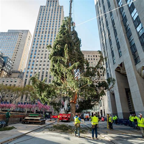 How to Watch the 2020 Rockefeller Center Christmas Tree Lighting