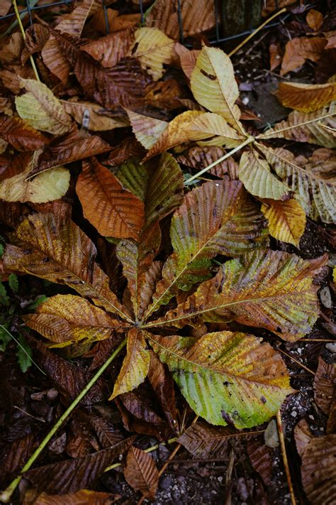 Image result for Alien Stage Laptop