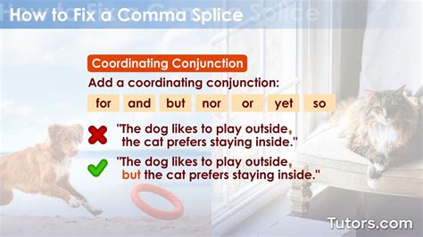 Image result for Comma splice Examples