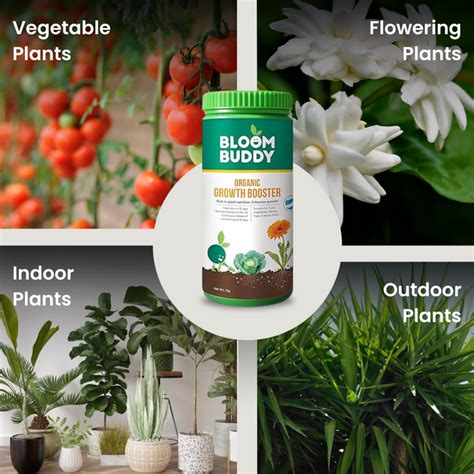 Organic Growth Booster for Plants 1 Kg| Plant Nutrition Booster for ...