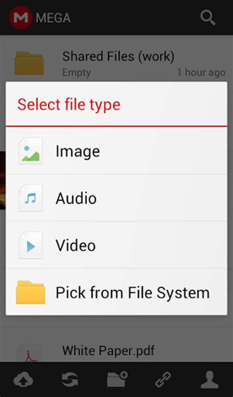 Image result for Mega App Android