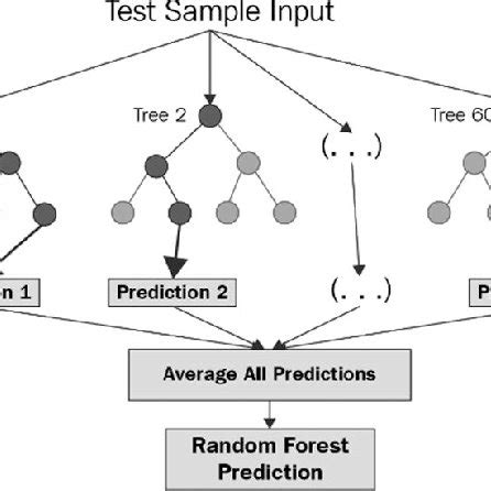Image result for Random Forest Visualization