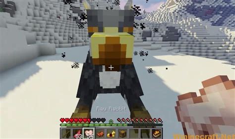 Image result for Minecraft Mythic Mounts Mod