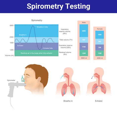 Image result for Spirometry Explained