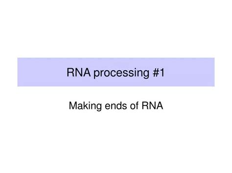 Image result for RNA Processing Animation