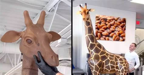 Giraffe Made Out Of Chocolate Wins Internet