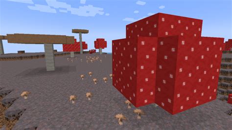 Image result for Mushroom Island Seeds Minecraft Java